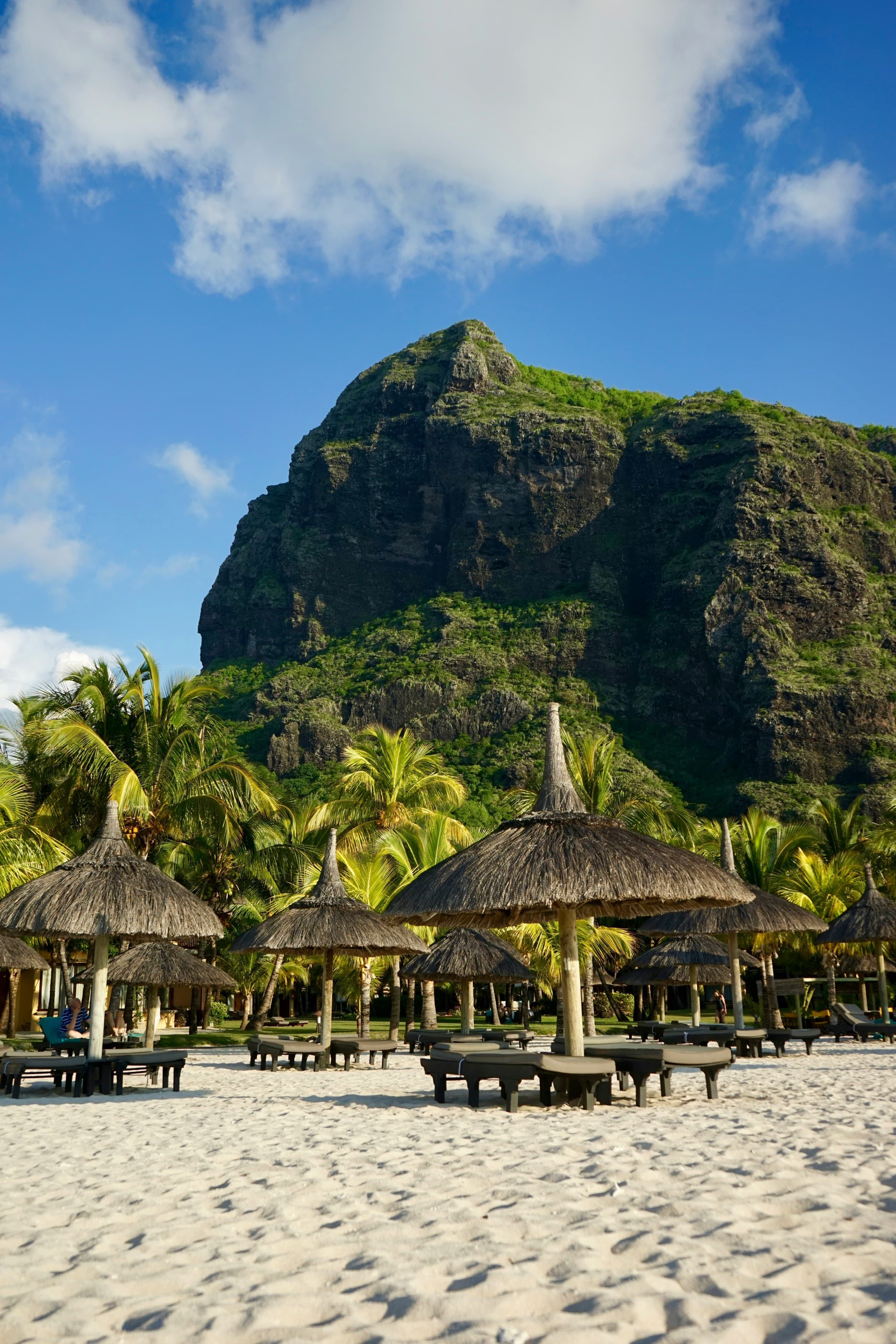 Playa tropical con palmeras, sombrillas y montaña al fondo, ambiente de destino vacacional.